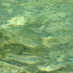 Izaskun Aldezabal Roteta-(r)en profileko irudia