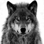 Iñaki Milton erabiltzailearen profileko argazkia