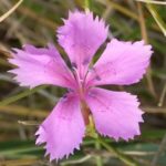 joseba felix tobar-arbulu erabiltzailearen profileko argazkia