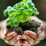 Maite-(r)en profileko irudia