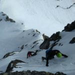 Iraultza-(r)en profileko irudia