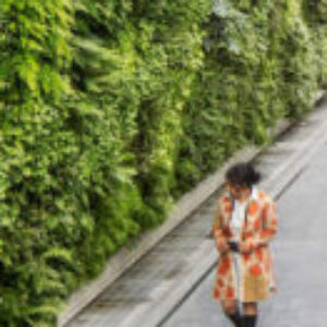 Zaloa Azkorra Larrinaga erabiltzailearen profileko argazkia