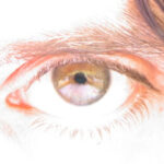 Gert Tz erabiltzailearen profileko argazkia