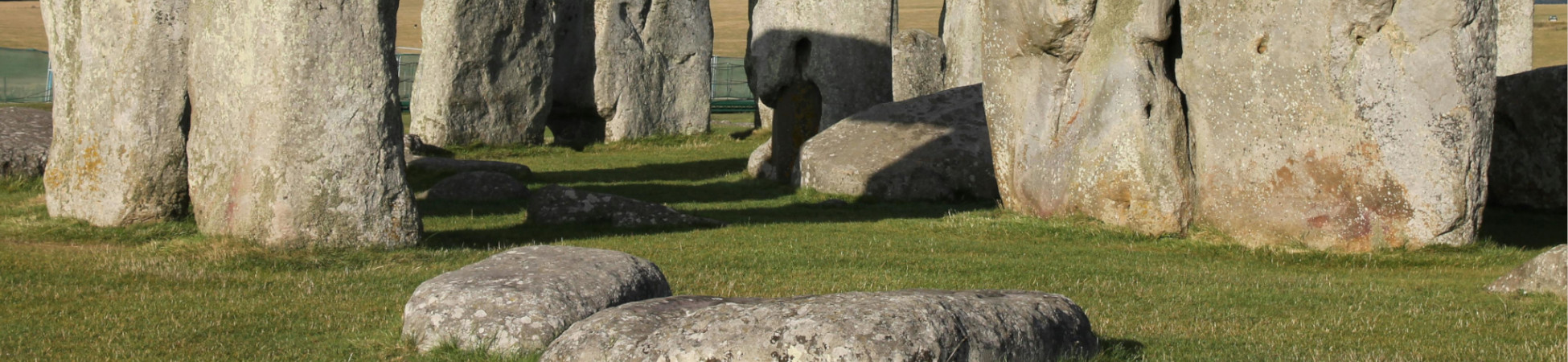 Taldearen azaleko irudia