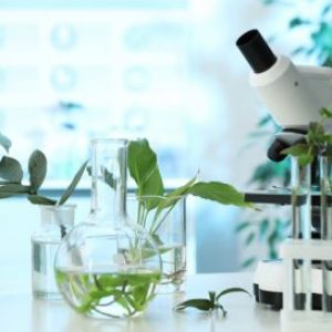 Natura    Zientziak taldearen logotipoa